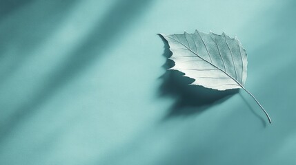 Poster - Single leaf on teal background with shadows.