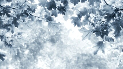 Poster - Monochrome image of leaves on branches, creating a natural, tranquil backdrop.
