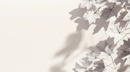 Poster - Soft light casts shadows of maple leaves on a beige background, creating a minimalist, botanical design.