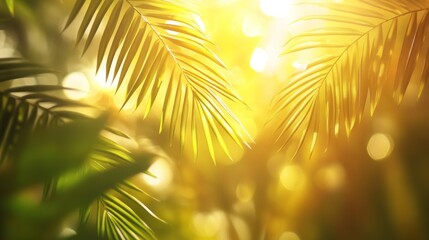 Poster - Sunlight filtering through lush tropical palm leaves.