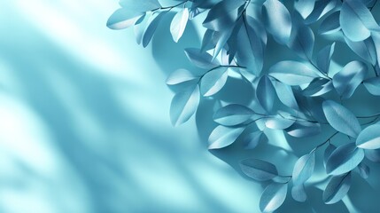 Poster - Teal leaves and shadows on a light blue background.
