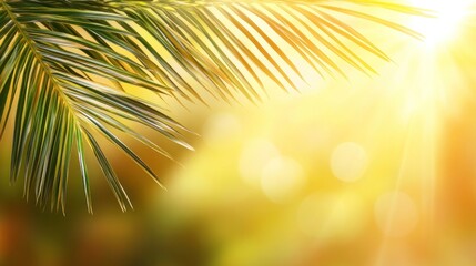 Poster - Palm frond against a bright, blurred sunset background.