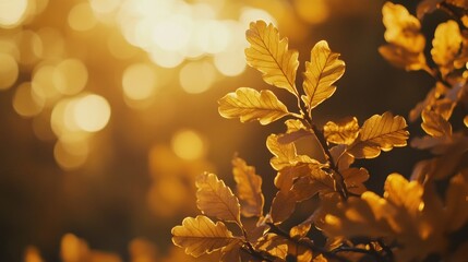 Poster - Golden autumn leaves backlit by warm sunlight, bokeh background.