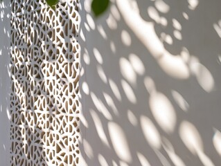 Poster - Intricate latticework casts dappled shadows on a white wall, creating a textured, light-filled scene.