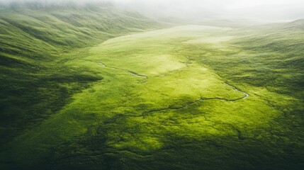 Wall Mural - Breathtaking view of rolling green hills with a gentle creek meandering through the landscape, illuminated by soft morning light