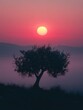 © Thirawat - olive tree in the early morning mist, its dark silhouette contrasting against the soft pink hues of the rising sun