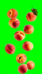 Wall Mural - Fresh peaches falling against a vibrant green screen background for creative content