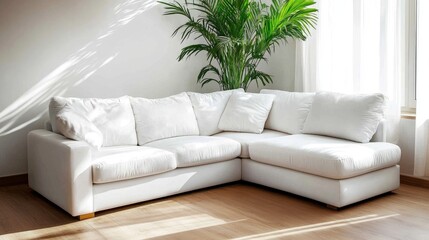 Wall Mural - Minimalist white living area with a corner sofa, a tall green plant in the background, a small coffee table with a plastic surface, and a light wooden floor.