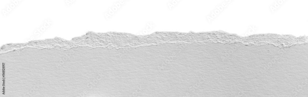 torn blank pages with uneven texture edges. set of ripped white paper ...