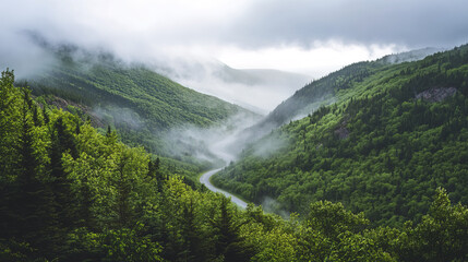 Sticker - serene snapshot of winding road through lush green mountains and mist