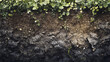 © THUA - Soil layers with green plants showing nutrient depletion and soil chemistry changes