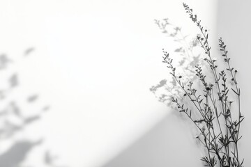 Poster - Monochrome floral shadow overlay on white.