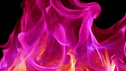 Wall Mural - Abstract Purple and Pink Flames: A Fiery Visual Spectacle