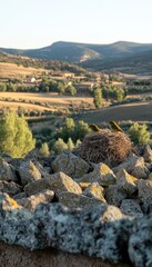 Wall Mural - A nest sits atop rocks, overlooking a serene landscape of fields and trees in the distance.