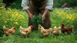 © DZIKRA  - A person tending to chickens in a vibrant field of flowers, showcasing sustainable farming.
