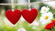 © adri - Two red hearts hanging on a clothesline with daisies. (2)