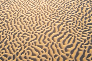 Poster - Close-up view of sand dunes texture under sunlight forming abstract wavy patterns on a bright desert background.