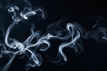 Poster - White smoke curling against a black background in a soft, abstract pattern.