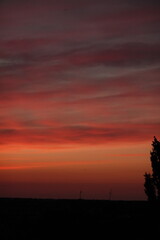 Wall Mural - Rose sunset and colorful clouds