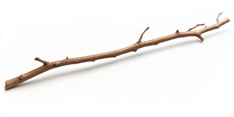 single, dry, brown tree branch isolated on white.