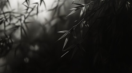 Wall Mural - Bamboo leaves illuminated by soft light in dark environment during evening hours