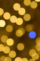 Wall Mural - golden christmas lights