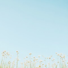 Wall Mural - Serene Meadow with Wildflowers Under Clear Blue Sky