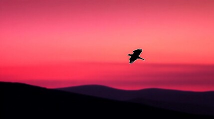 Wall Mural - Silhouette of a bird in flight at sunset over mountains.