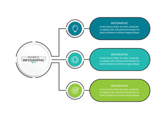 Wall Mural - vector infographic label design with circle infographic template design and 3 options or steps.
