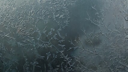 Wall Mural - closeup view capturing the intricate condensation of fog on a window glass surface, showcasing the d