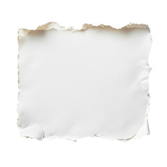 Wall Mural - blank torn paper with ragged edges for notes