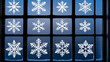 © Rebecca - Snowflakes on a windowpane with frost designs