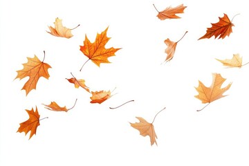 Poster - Autumn maple leaves swirling in the air, isolated on a transparent background, symbolizing seasonal change