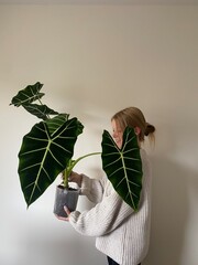 female person holding a big plant indoors 