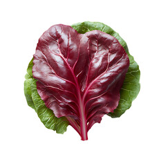 Wall Mural - Fresh Red Chard Leaf Isolated Transparent Background.