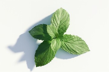 Wall Mural - fresh peppermint leaves isolated on white top view peppermint