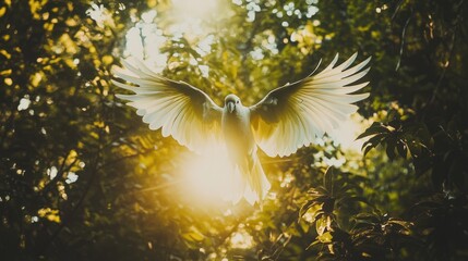 Aufkleber - White bird in flight, wings spread wide, sunlight behind.
