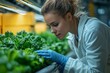 © typepng - A senior scientist or tech specialist observes a new variety of cress sprouts, engineered for optimal consumption in a greenhouse