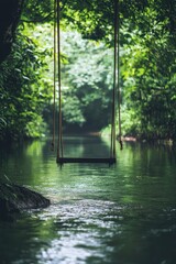 Wall Mural - Serene swing over tranquil water in lush green forest during calm day