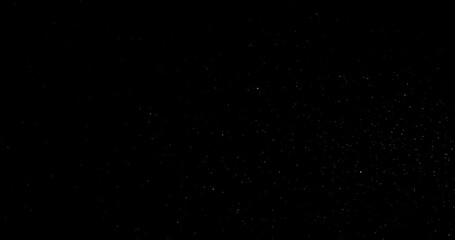 Wall Mural - Natural Organic Dust Particles Floating On Black Background. Dynamic Dust Particles Randomly Float In Space. Shimmering Glittering Dust Particles With Bokeh. Slow motion on Black Background.