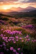 © Dzikrul Husnani - The sun shines on the vibrant pink firefall flowers in Clipper Field, Great National Park at sunrise, with towering mountains visible across the horizon. The colorful wildflowers line the valley floor