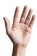 © StreamPixel - Open Human Hand Raised Gesture, Palm Facing Forward