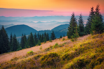 Poster - Foggy summer sunrise on Carpathian Mountains, Ukraine, Europe. Exciting morning scene of Ukrainian countrysidde. Beauty of nature concept background.