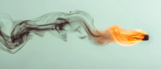 Wall Mural - Burning Incense Stick with Smoke Trail  Abstract Fire Image