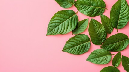Poster - Artistic hand-drawn tropical leaves in green shades layered over a soft pastel pink background. No text, no people.