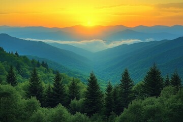  Golden sunrise over misty mountains with lush green forest in foreground and distant peaks