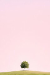 Wall Mural - Lone Tree on Minimalist Pasture at Sunset