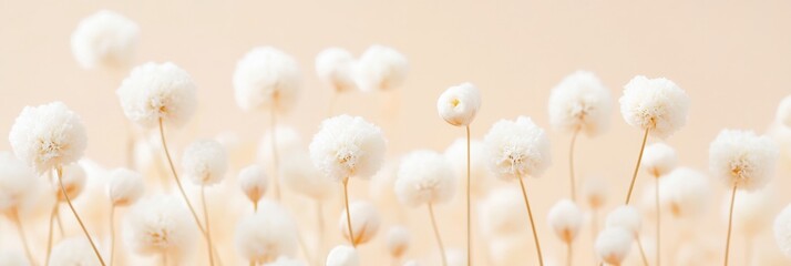Poster - Minimalistic White Flowers Against Soft Peach Background - A Delicate Springtime Aesthetic