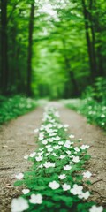 Canvas Print - Serene Forest Pathway with White Flowers in Springtime