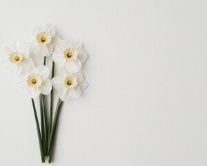 Poster - Elegant Arrangement of White Daffodils on Minimalist Background